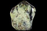 Polished, Free-standing, Green Dendritic Agate - Madagascar #113673-3